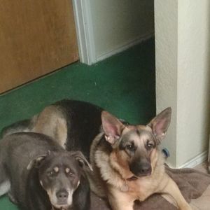 Meet your Posher, Jay